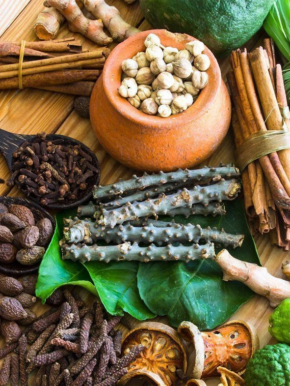 traditional chinese medicine company