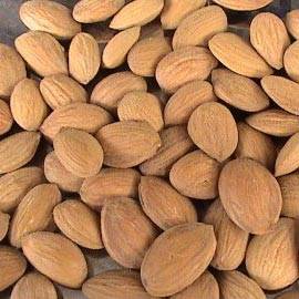 Peach kernel