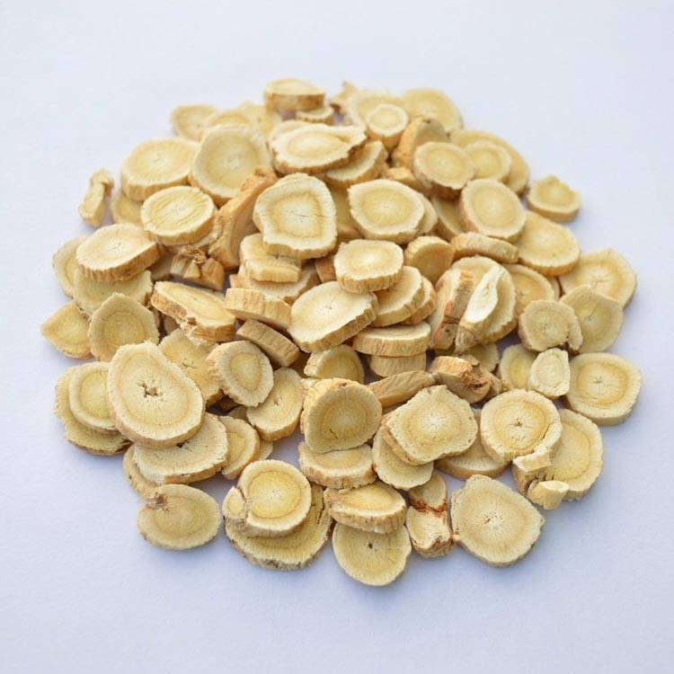 Astragalus