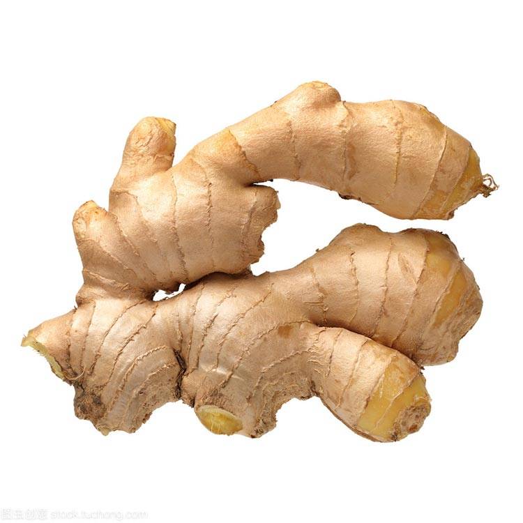 Ginger