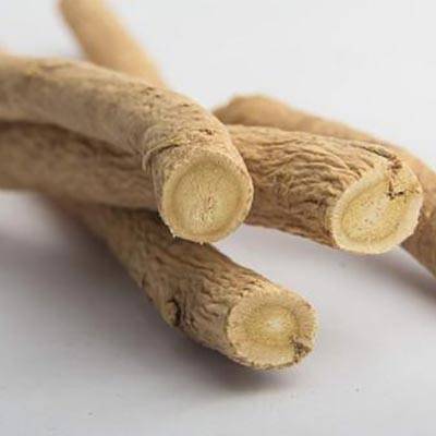 Astragalus