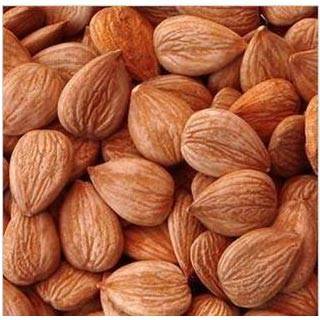 Peach kernel