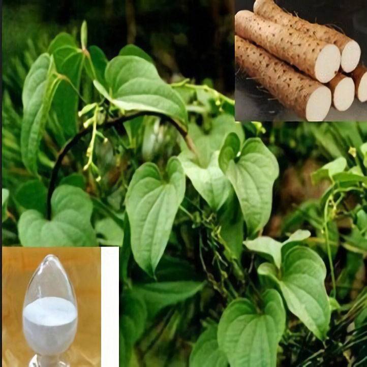 Diosgenin extract