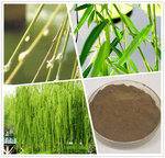 White Willow Extract Powder