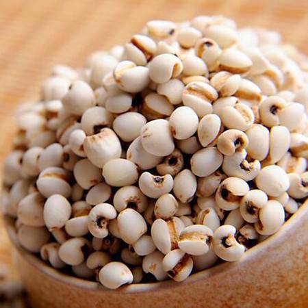 Barley seed