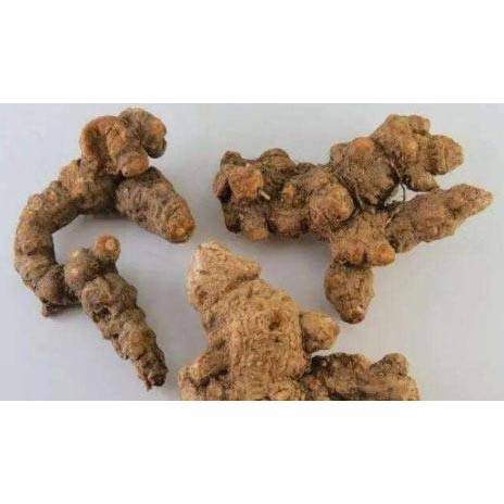 Atractylodes Lancea