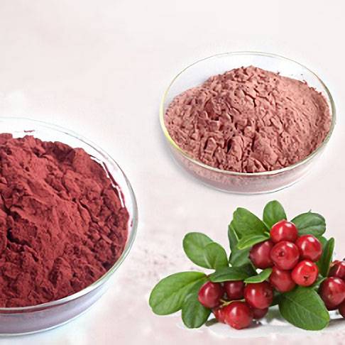 Cranberry extract