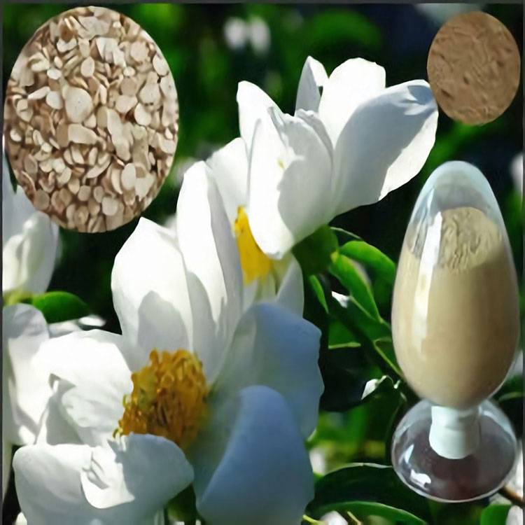 Extract of Radix Paeoniae Alba