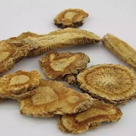 Siler root