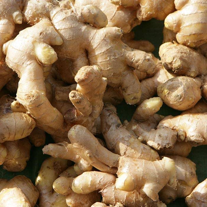 Ginger