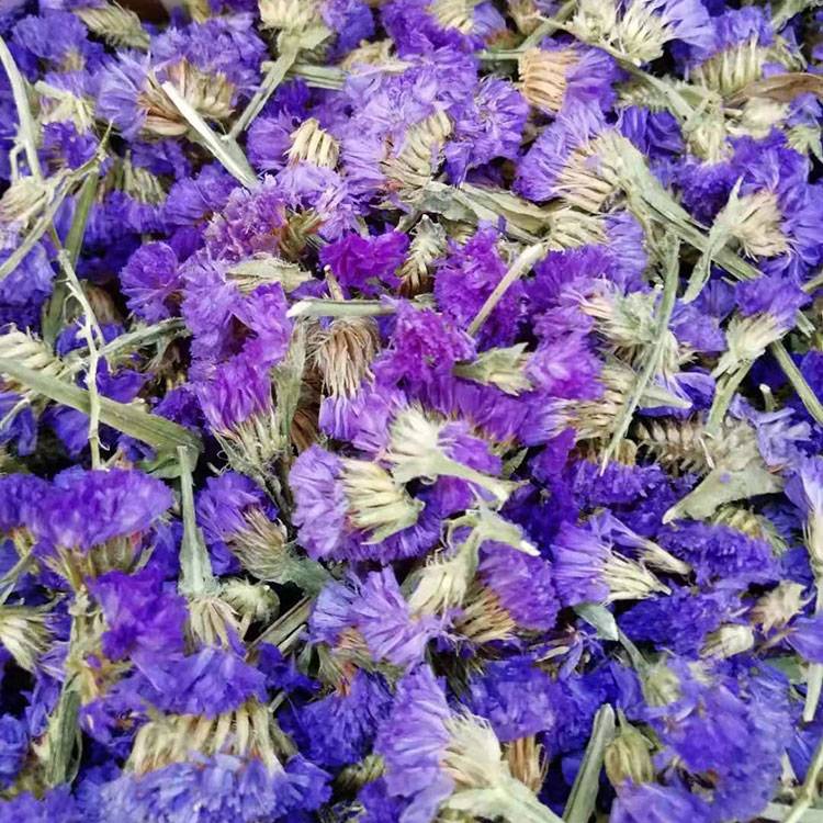 Forget Me Not Tea