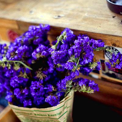 Forget Me Not Tea